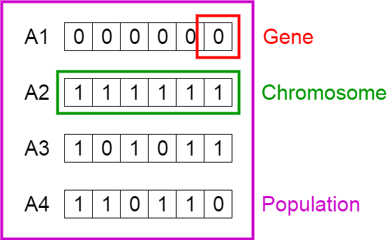 *种群、染色体和基因*](https://itimetraveler.github.io/gallery/genetic-algorithms/1-vIrsxg12DSltpdWoO561yA.png)